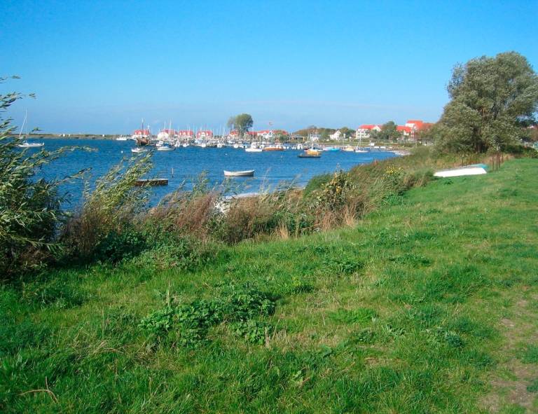 foto10