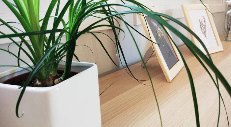 Apartamento Alquézar
