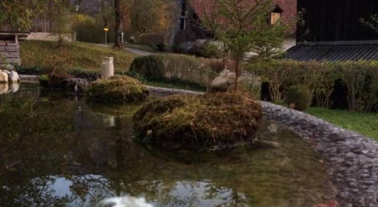 foto30