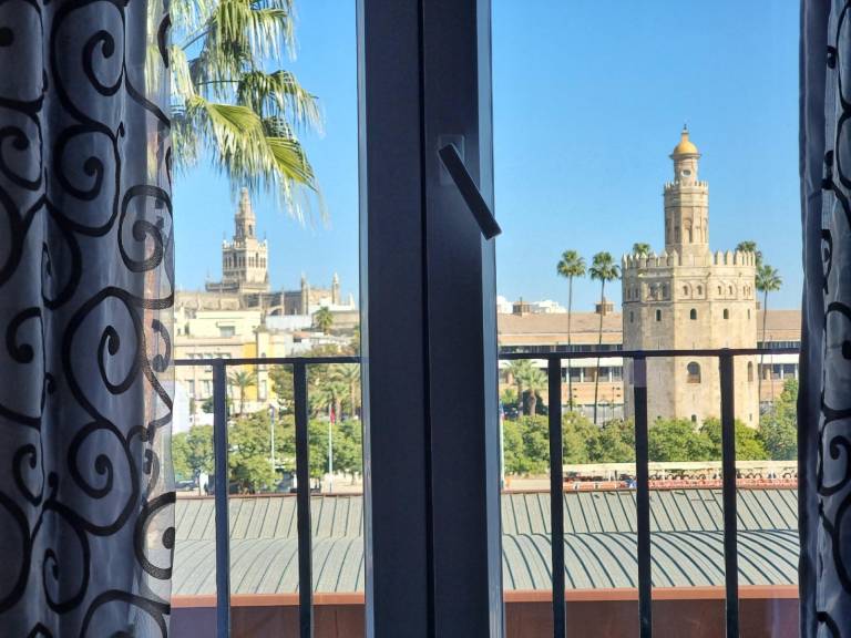Beautiful vacation home | Close to Seville Cathedral | Pets allowed in Seville