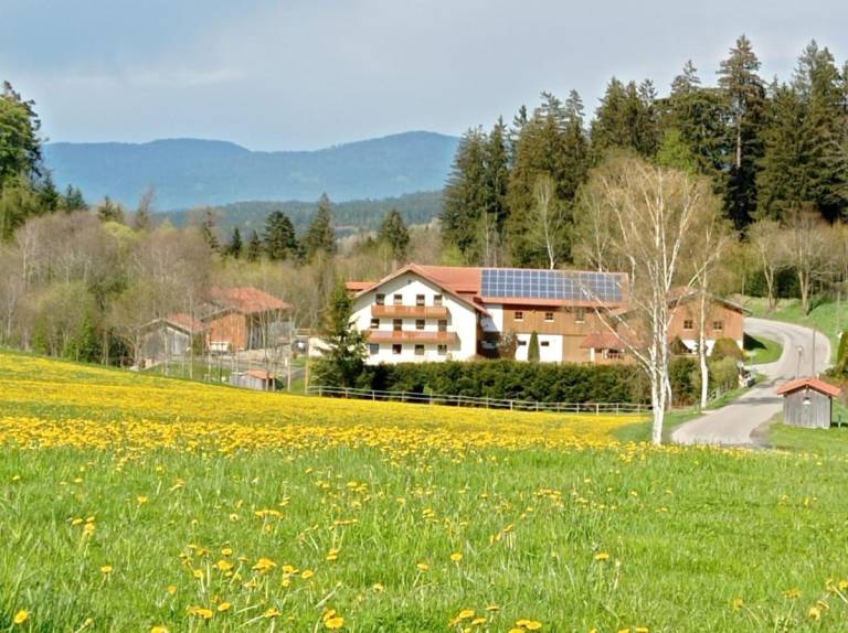 foto21