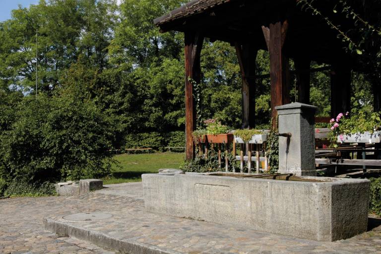 foto16