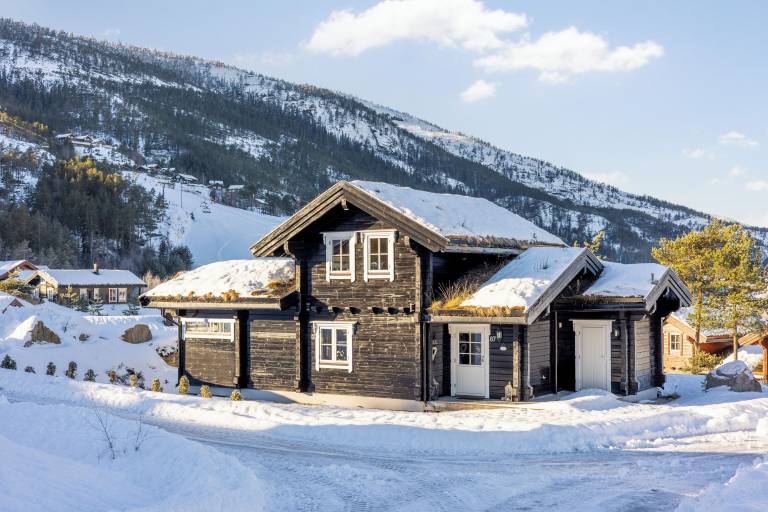 Feriehus Vrådal