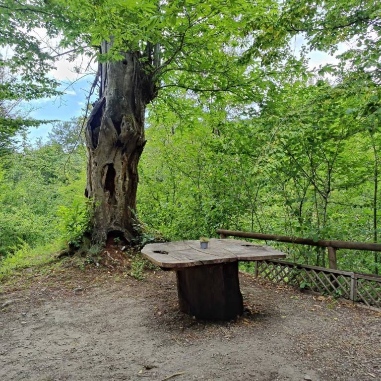 Parco vacanze Palazzuolo sul Senio