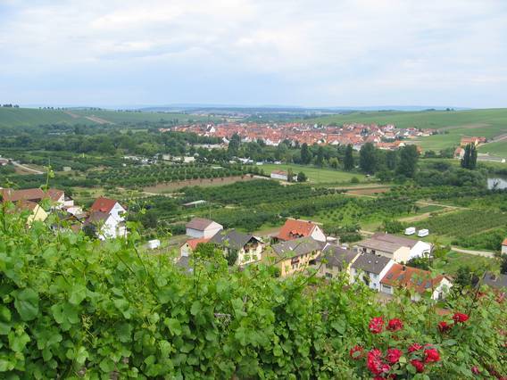 Ferienwohnung  Sommerach