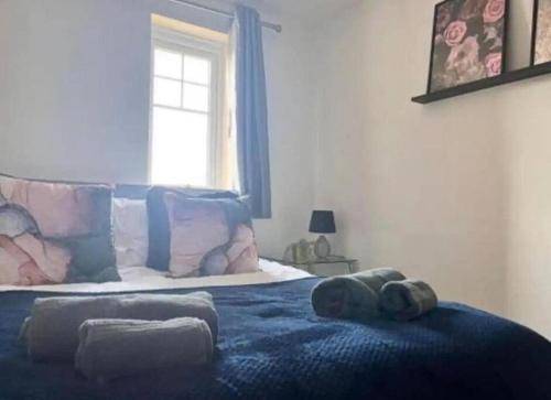 Apartment  Warrington