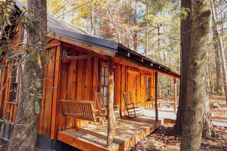 Cabin Saluda