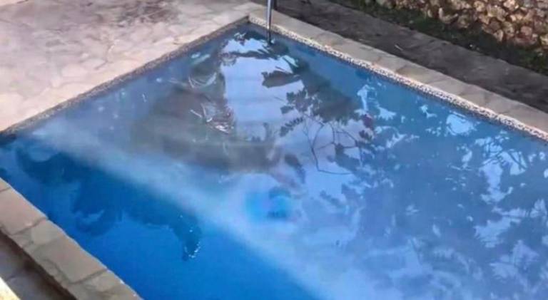 Apartment with pool — photo 3