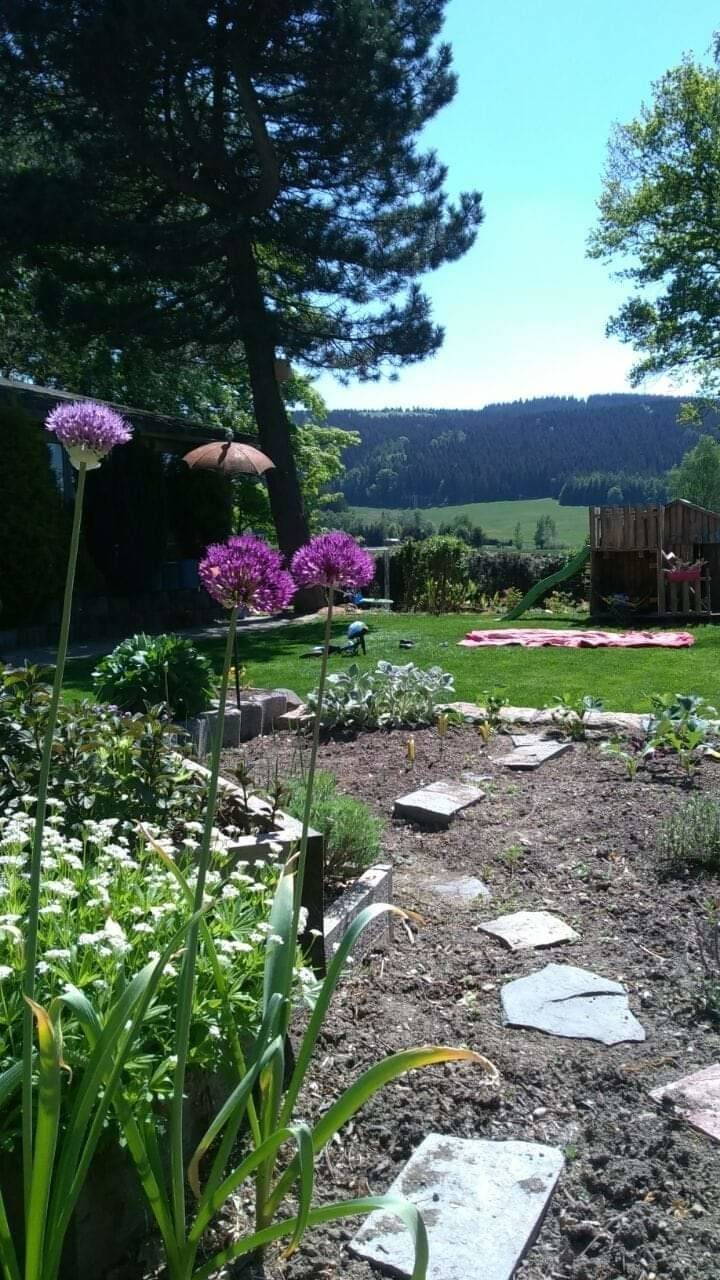 foto16