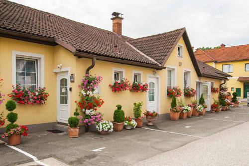 foto21