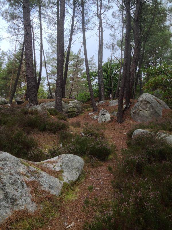 foto11