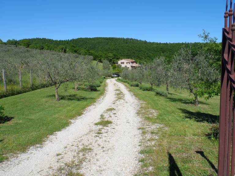foto21
