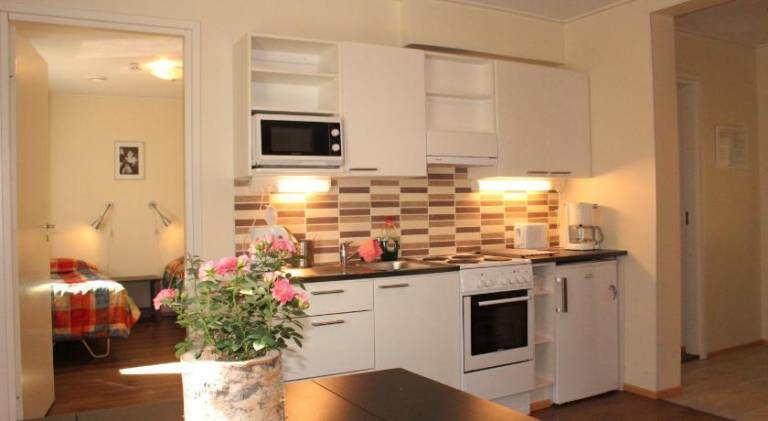 House | Next to Arktikum Science Museum | Pets allowed in Rovaniemi