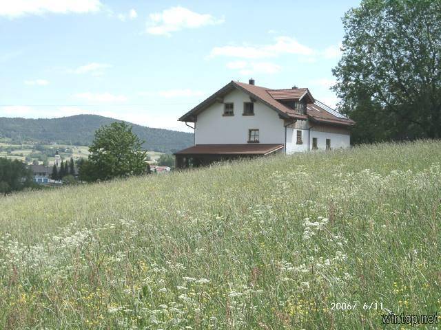 foto8