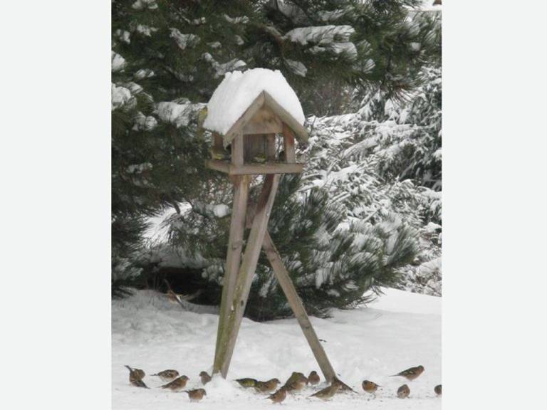 Ferienwohnung in Vöcklabruck, Gemeinde Innerschwand am Mondsee für max. 2 Personen Ferienwohnung in Vöcklabruck, Gemeinde Innerschwand am Mondsee für max. 2 Personen