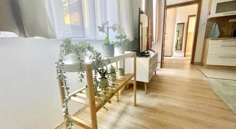 Fully equipped rental apartment | Next to St. Stephen's Basilica | Pet-friendly — photo 4