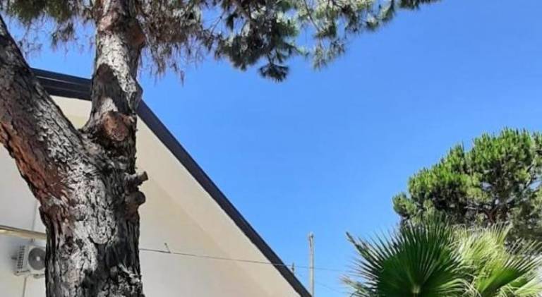 Qvattro stagioni panoramic suites — photo 5