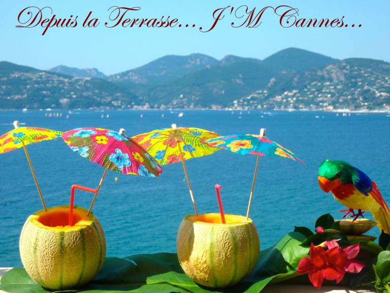 Ferienwohnung Cannes