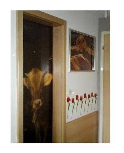 foto10
