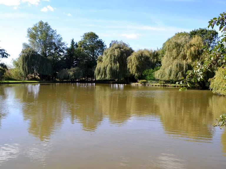 foto10