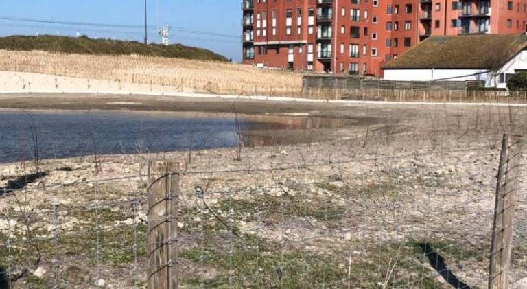 Rental apartment | Beach nearby | Pets allowed in Ostend