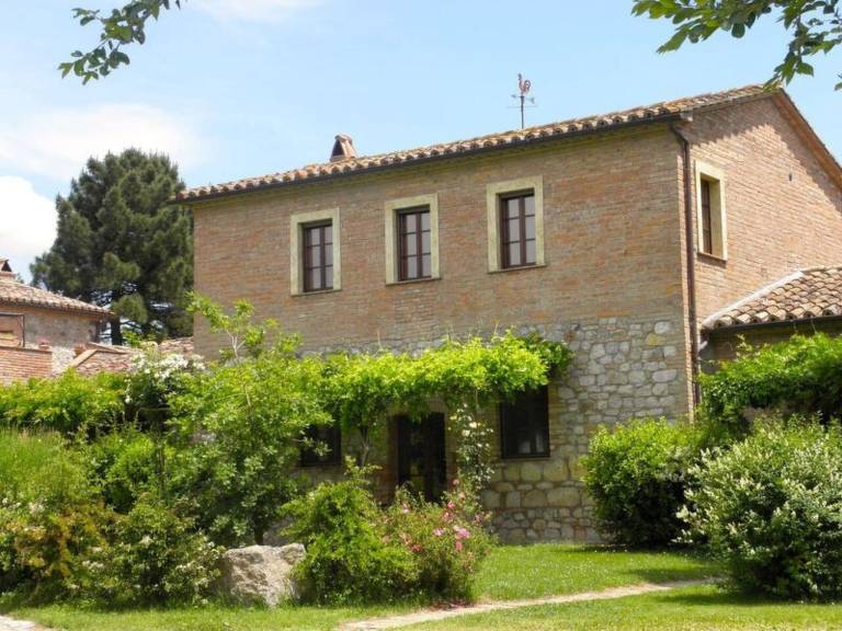 'Black Rooster in Terni