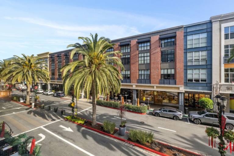 Big apartment | Next to Winchester Mystery House | Pets allowed — photo 5