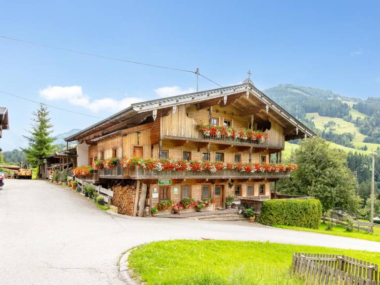 Ferienwohnung mit Hund in Alpbach f&uuml;r max. 9 Personen