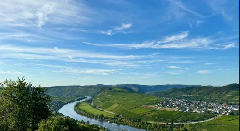 Holiday apartment | Pet-friendly in Trier
