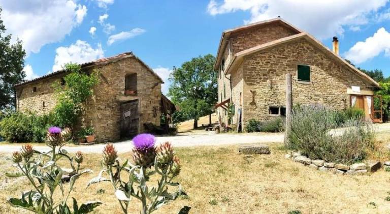 B&B Luna e Stelle — photo 4