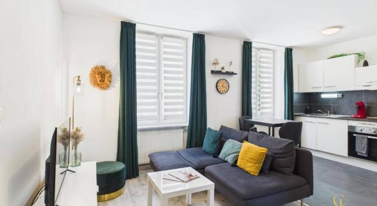 Wonderful rental apartment | Pets are welcome in Sausheim