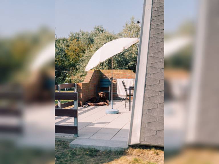 Ferienwohnung Markgrafenheide