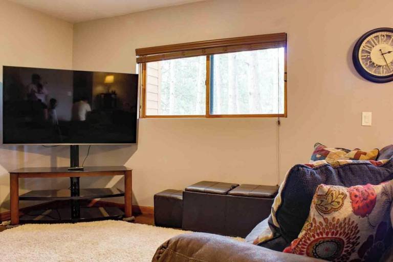 Condo Wisconsin Dells