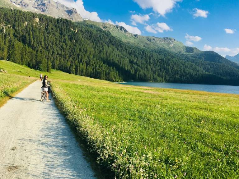 Ferienwohnung mit Hund in Sils Maria für max. 6 Personen Ferienwohnung mit Hund in Sils Maria für max. 6 Personen