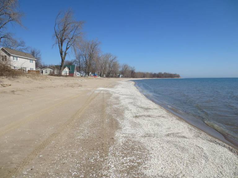 House Pelee Island