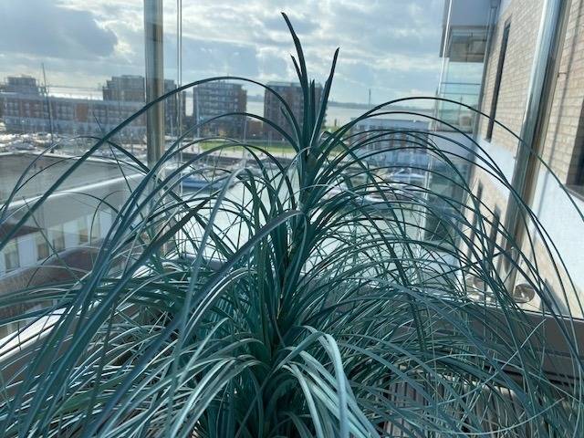 foto17