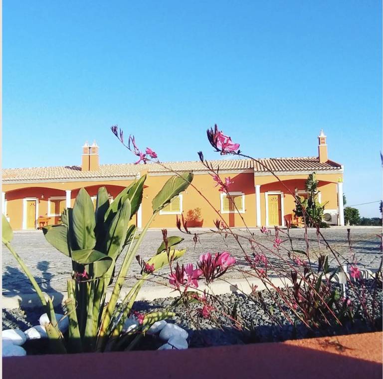 foto6