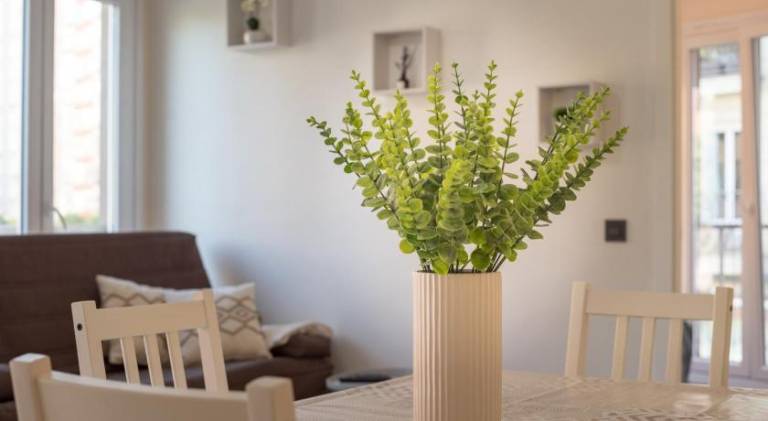 50 m² Ferienwohnung
