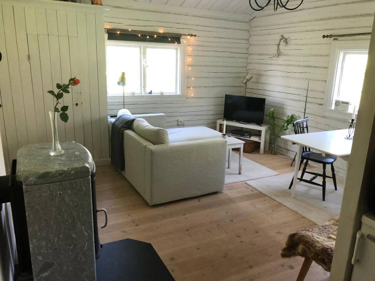 Schwedenhaus mit privater Sauna — photo 5