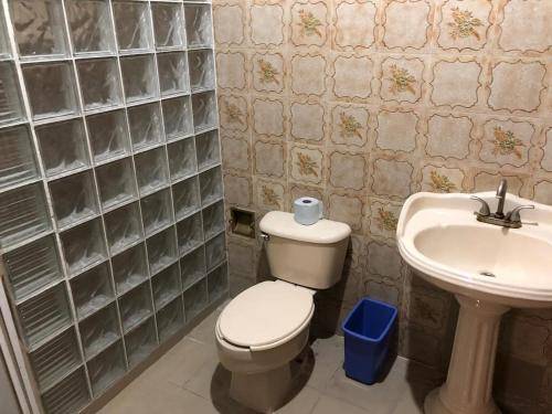 foto6