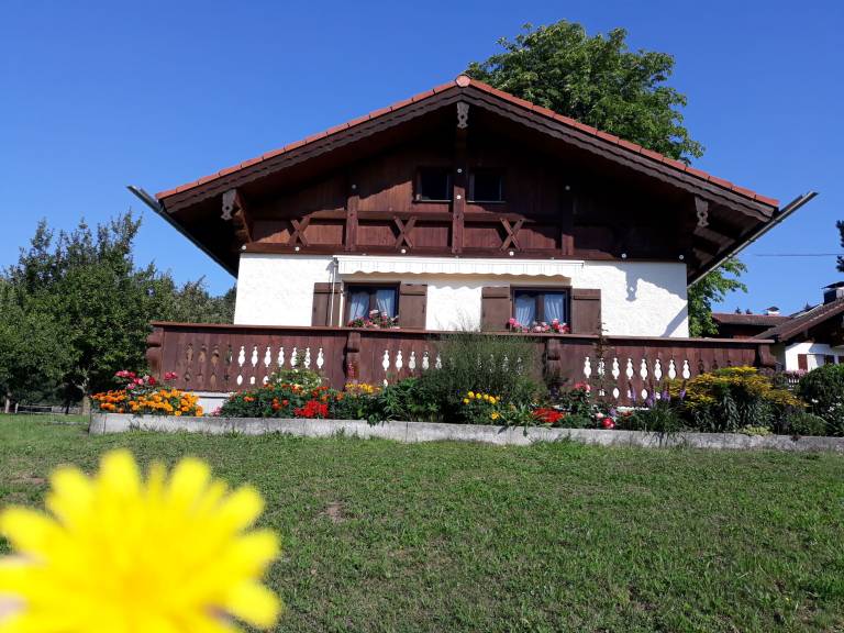 foto12
