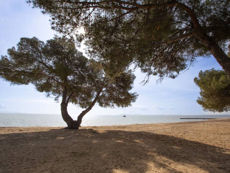 foto11