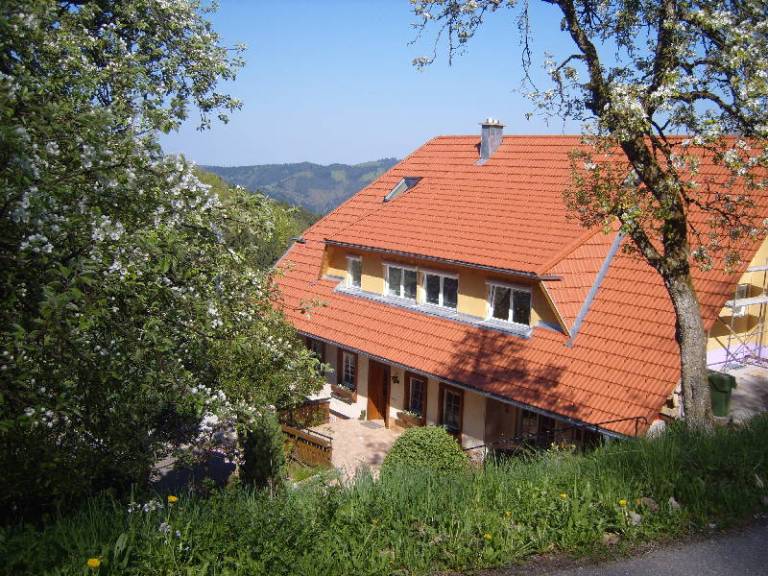 foto18