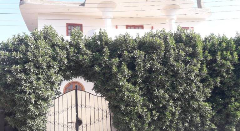 Rental apartment | Near Medinet Habu | Dogs allowed in Luxor