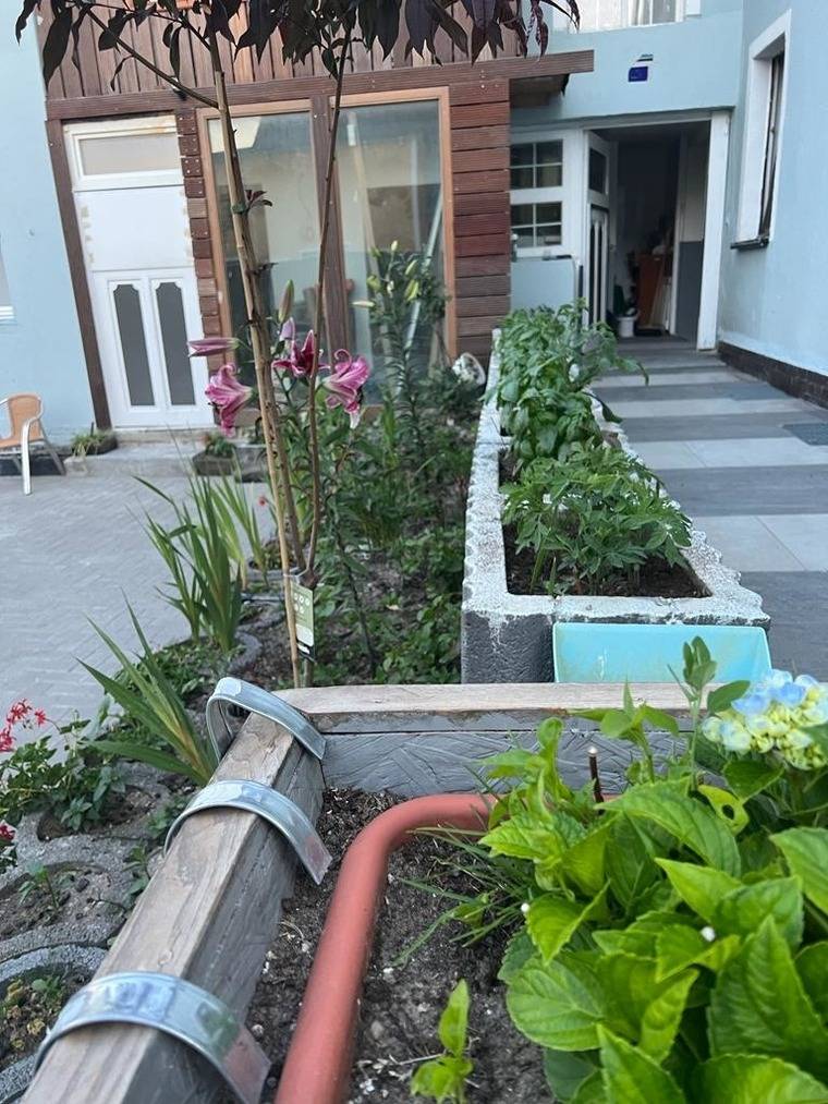 foto10