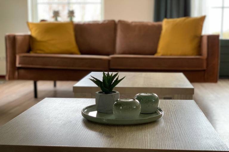 Ferienhaus  Vlagtwedde