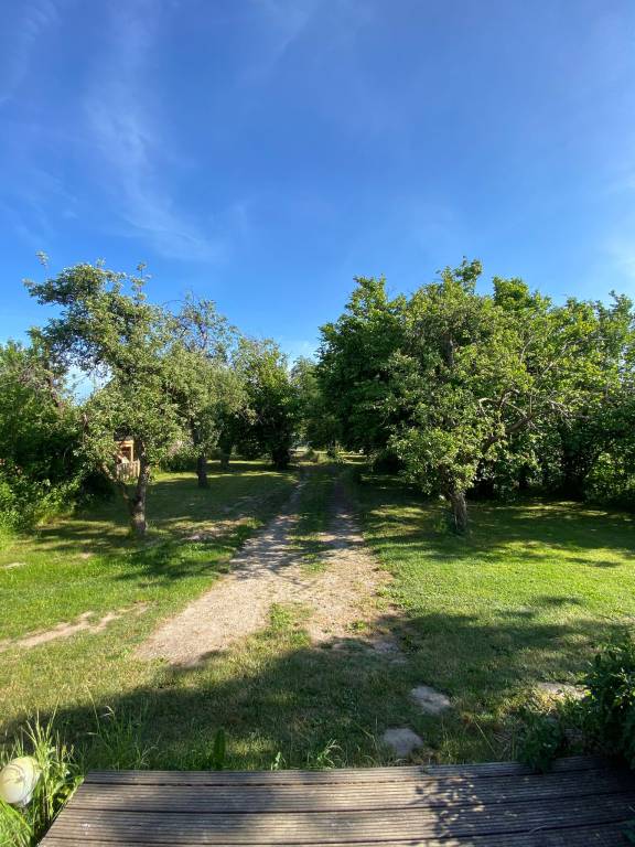 foto14
