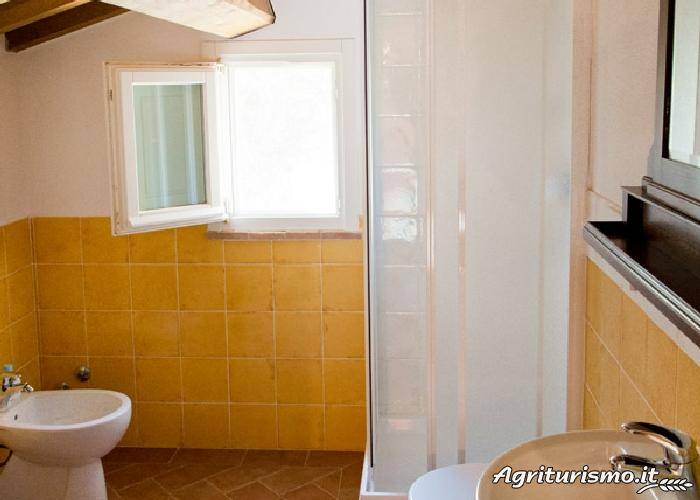 foto19