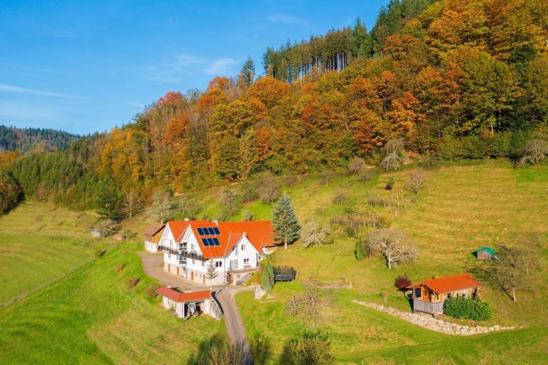 Ferienwohnung  Oppenau