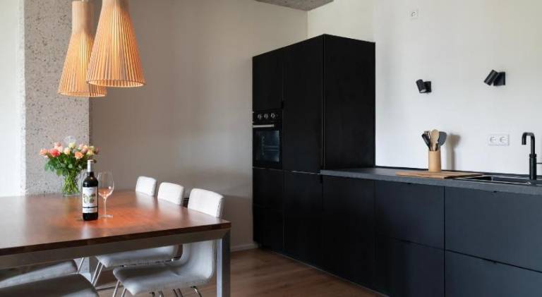 Holiday apartment | Next to Erasmusbrug — photo 4